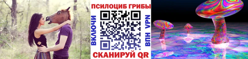 Галлюциногенные грибы Cubensis  Сураж 